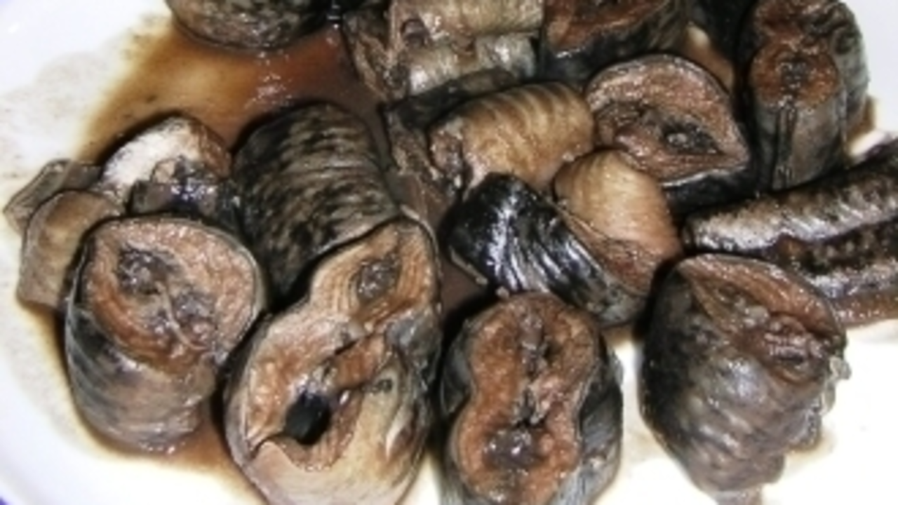 Lamprea a la bordelesa (Galicia Gastronómica)