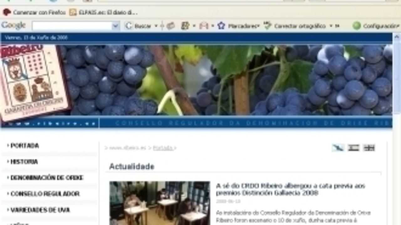 Portada de la nueva web del Ribeiro