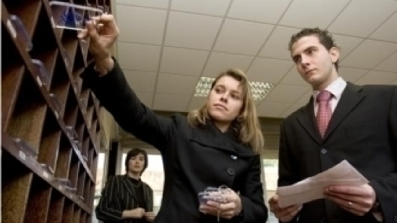 Alumnos del CSHG en plenas prácticas (Foto: Turgalicia)