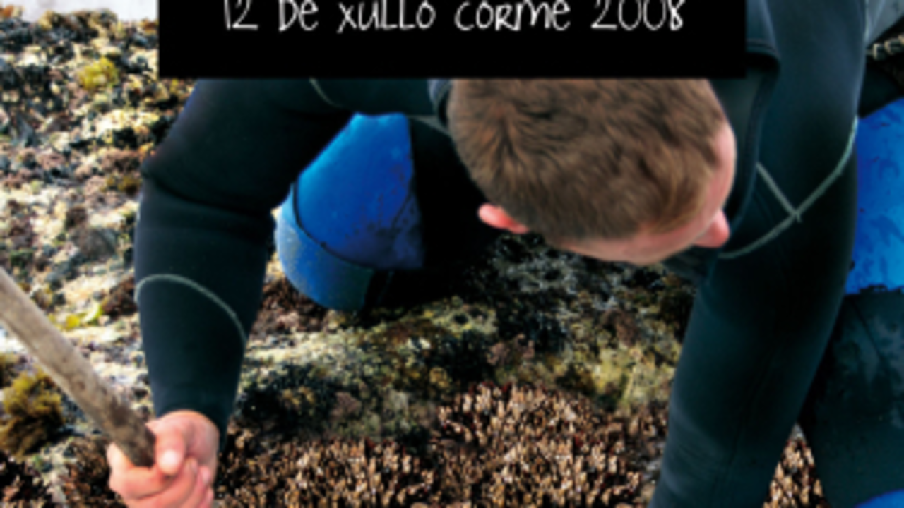 Cartel de la Festa do Percebe do Roncudo