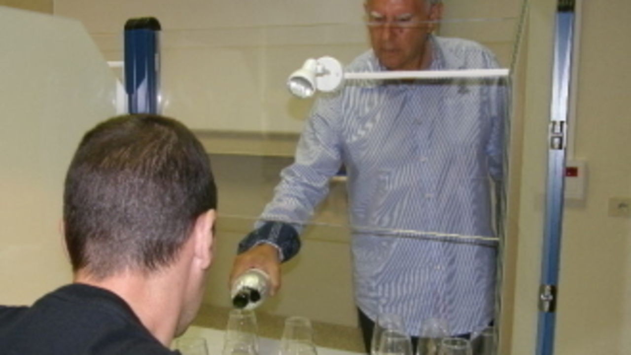 C:UsersippPicturesGALGASNOVASCATA branco lexitimoINTERIOR_cata_blanco_legitino_2.JPG