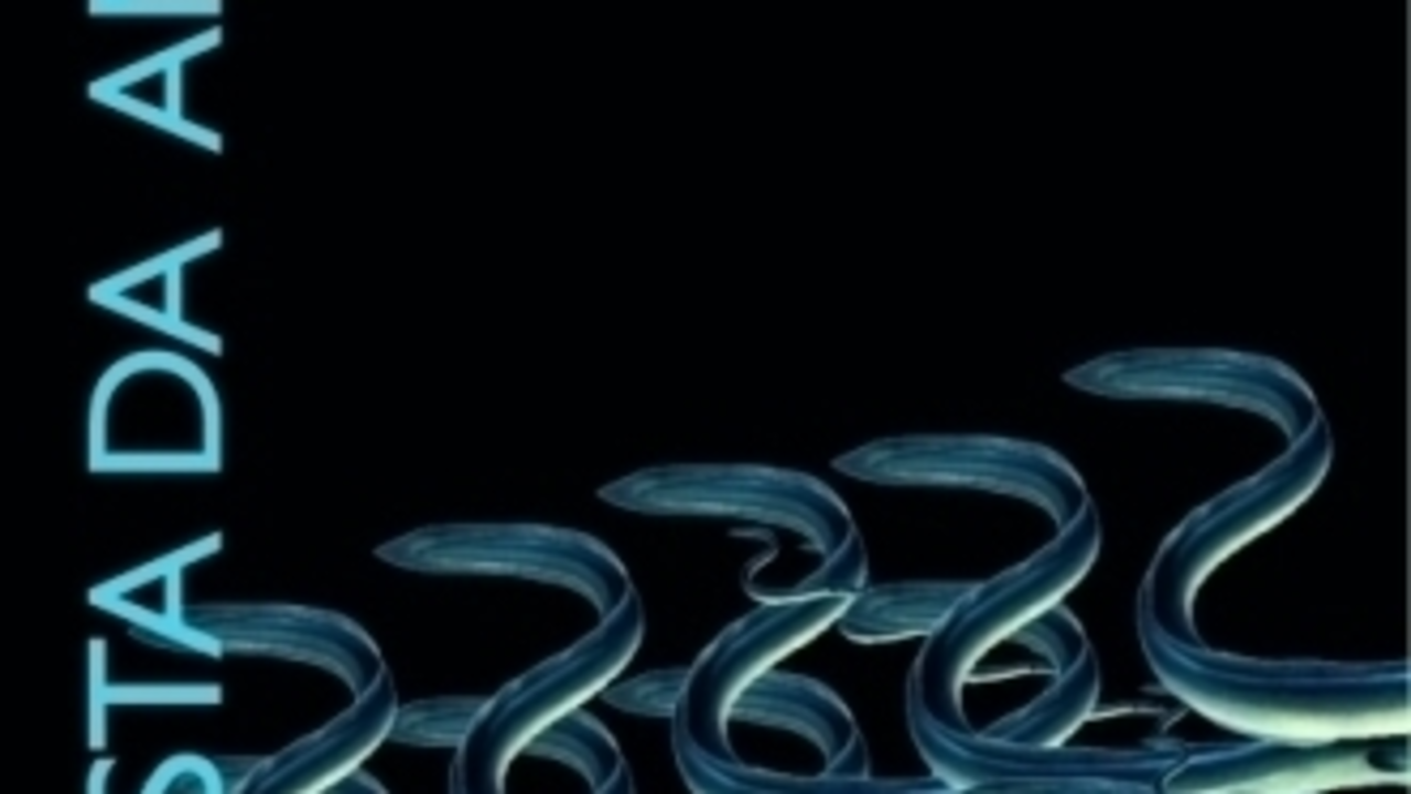 De arriba abajo: Fiesta del Albariño, pimientos de Herbón y cartel de la Fiesta de la Anguila (AGN/G.G.)