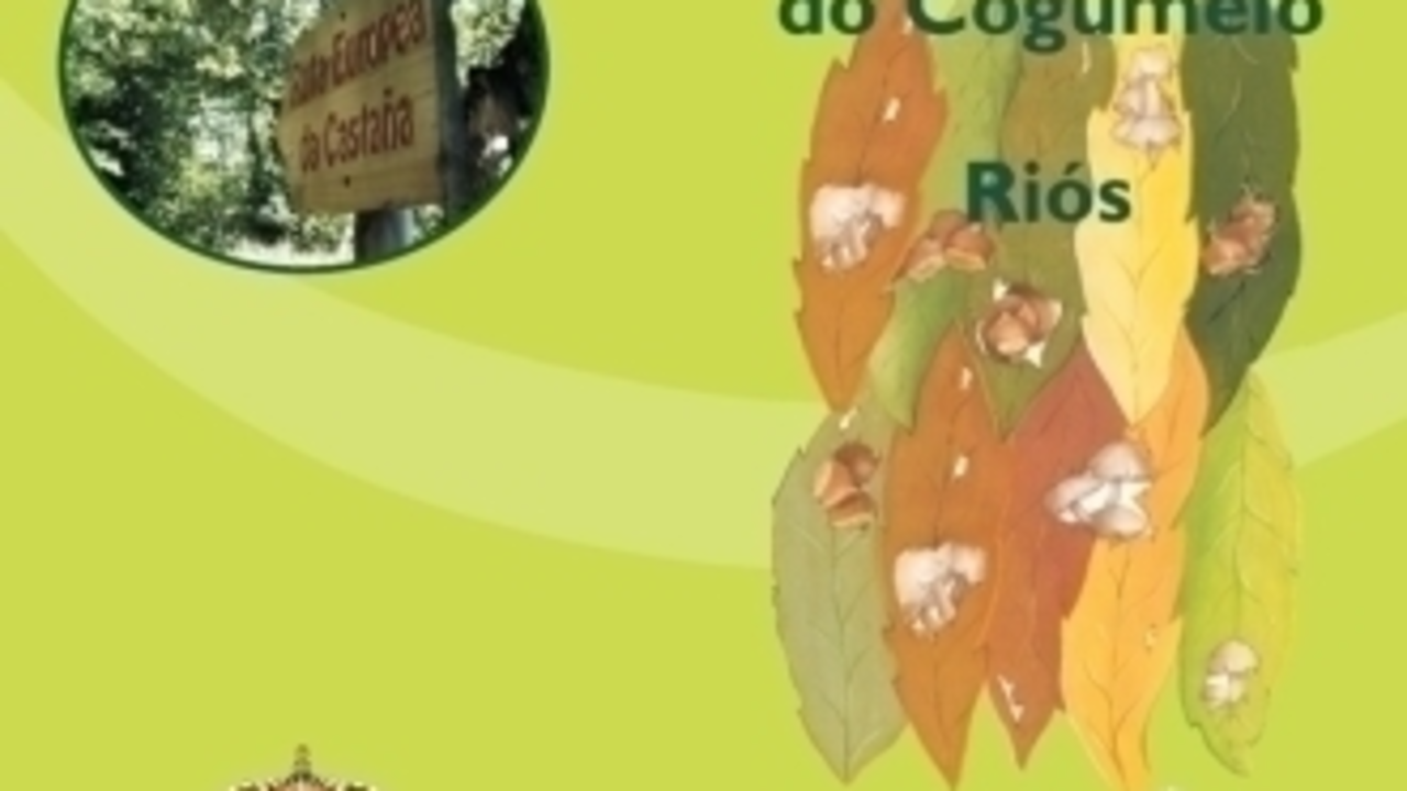 Folleto de la edición de 2007 (Foto: Concello de Riós)