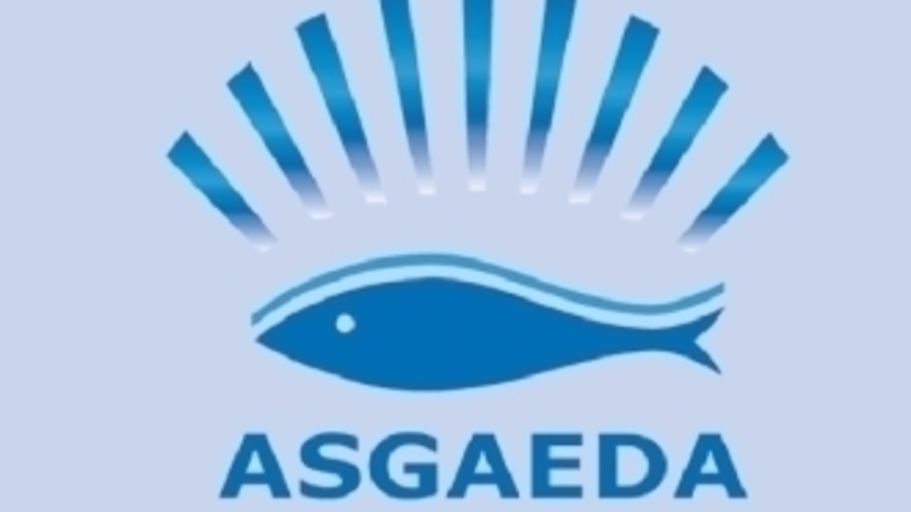 Logotipo de ASGAEDA