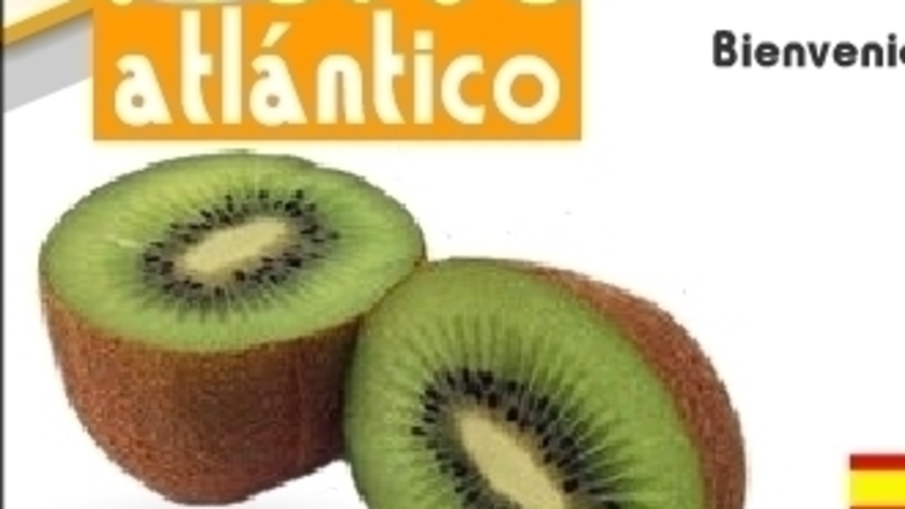 Imagen de la web de la empresa Kiwi Atlántico, con sede en Galicia