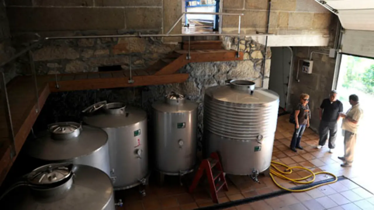 La visita sigue en la bodega "Rozas"