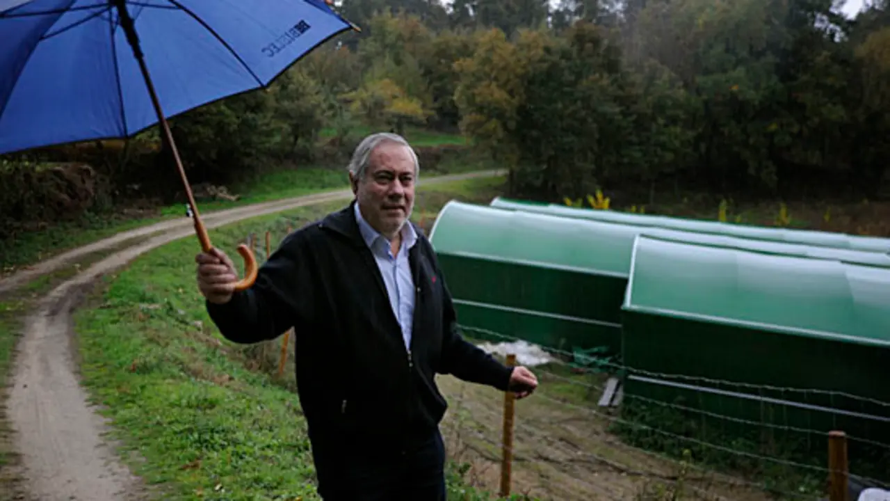 Ricardo Mínguez, cultivador de setas