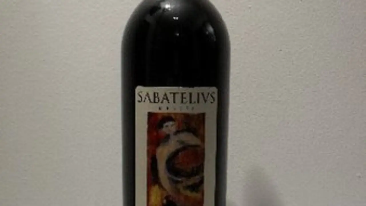 VINO(10.2011) Sabatelius 2009.JPG