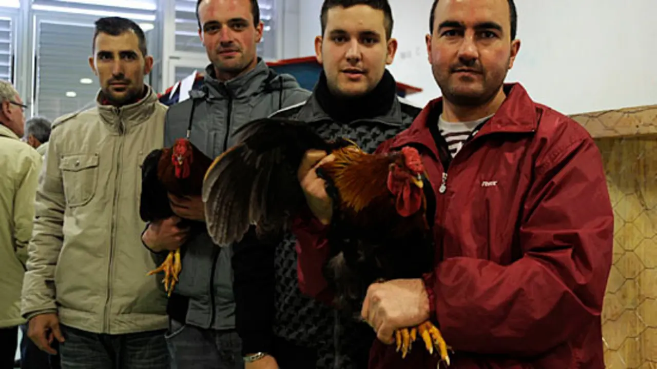 Criadores de Galiña Piñeira, Carlos Magadán, Alberto Aller, José Manuel Brea e Daniel Fernández, de Arzúa