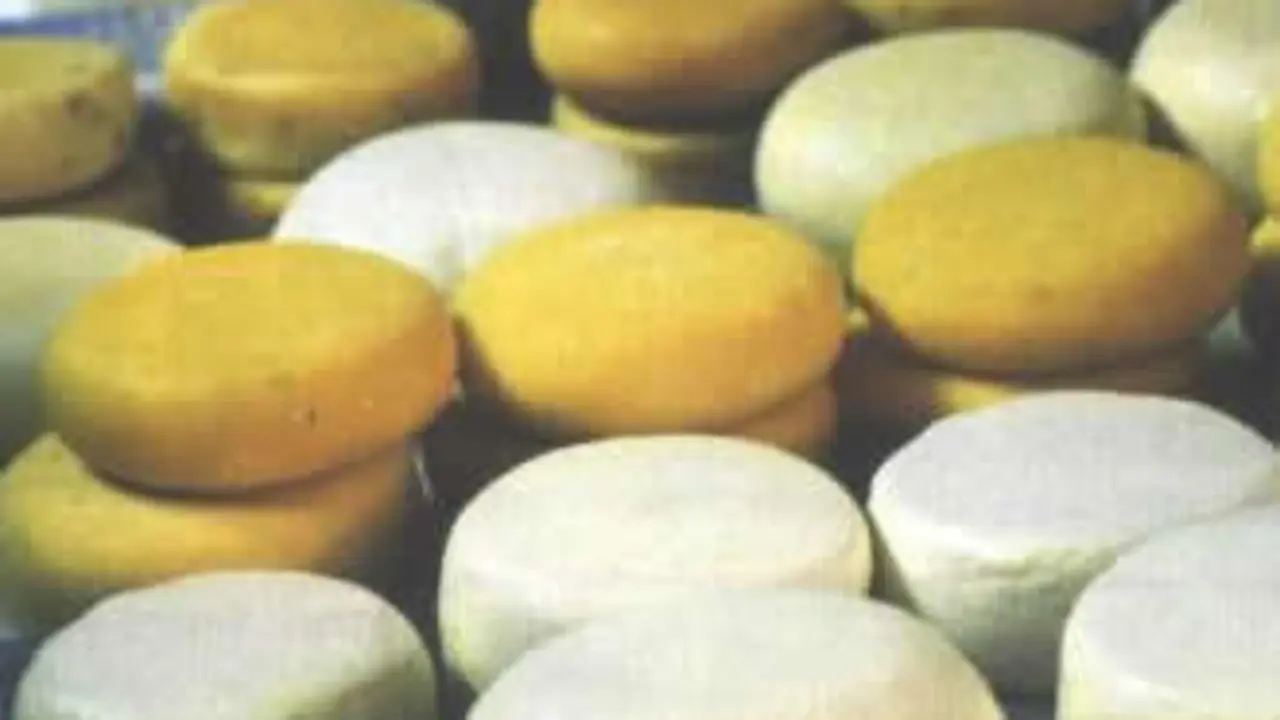 Variedades de queso de Arzúa