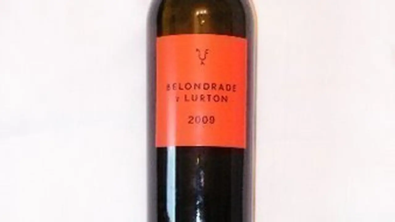 vino(28_2011) Belondrade y Lurt.JPG