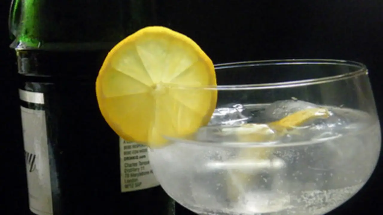 Un buen gin tonic para tomar en compañía