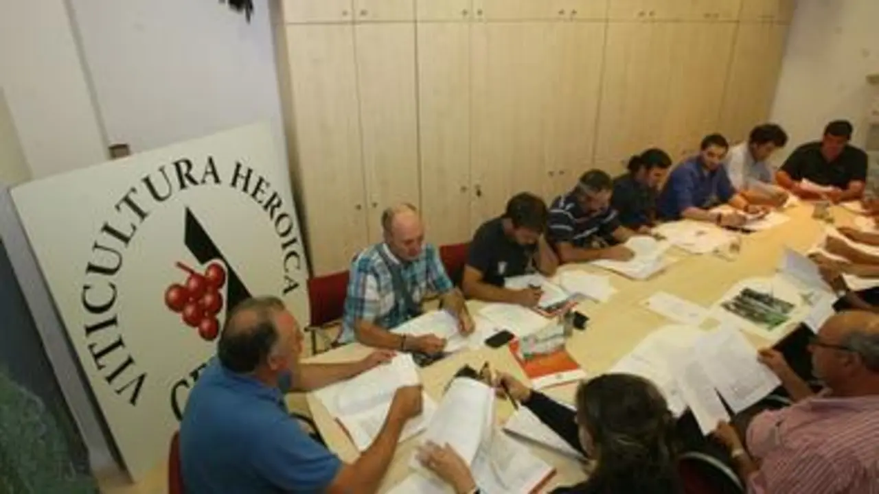 Reunión del consejo regulador de Ribeira Sacra, celebrada este viernes (Foto: ANA SOMOZA)