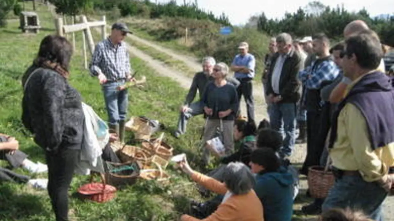 Jornada micológica en el área recreativa del monte O Picato, en Trabada (Foto: EPL)