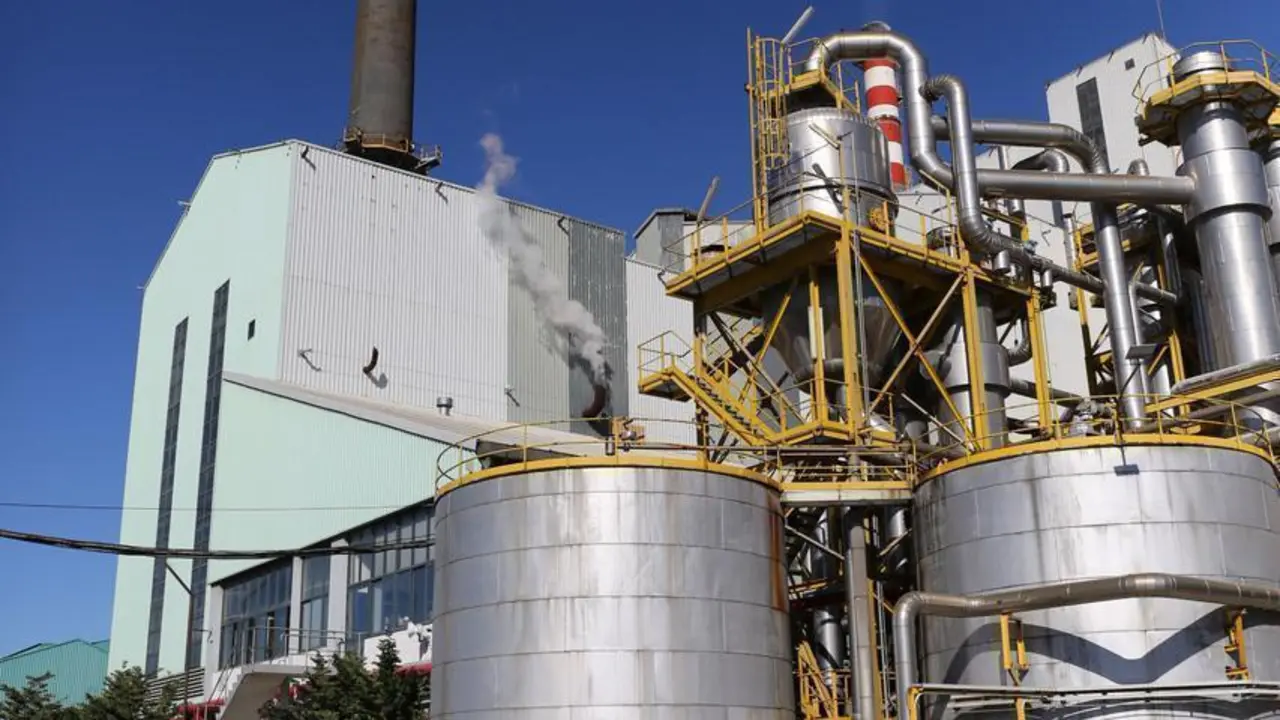 Recinto industrial de Ence en Lourizán