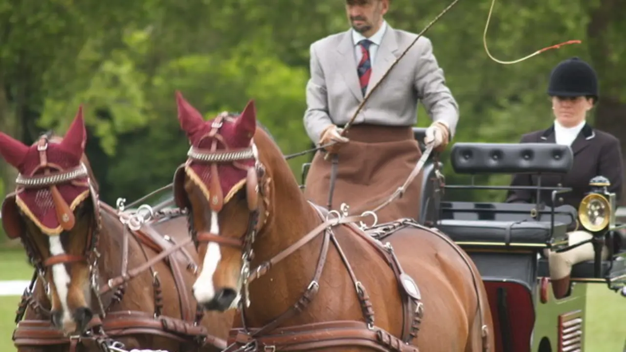 Colman, en una calesa, uno de los lujos que se permitía