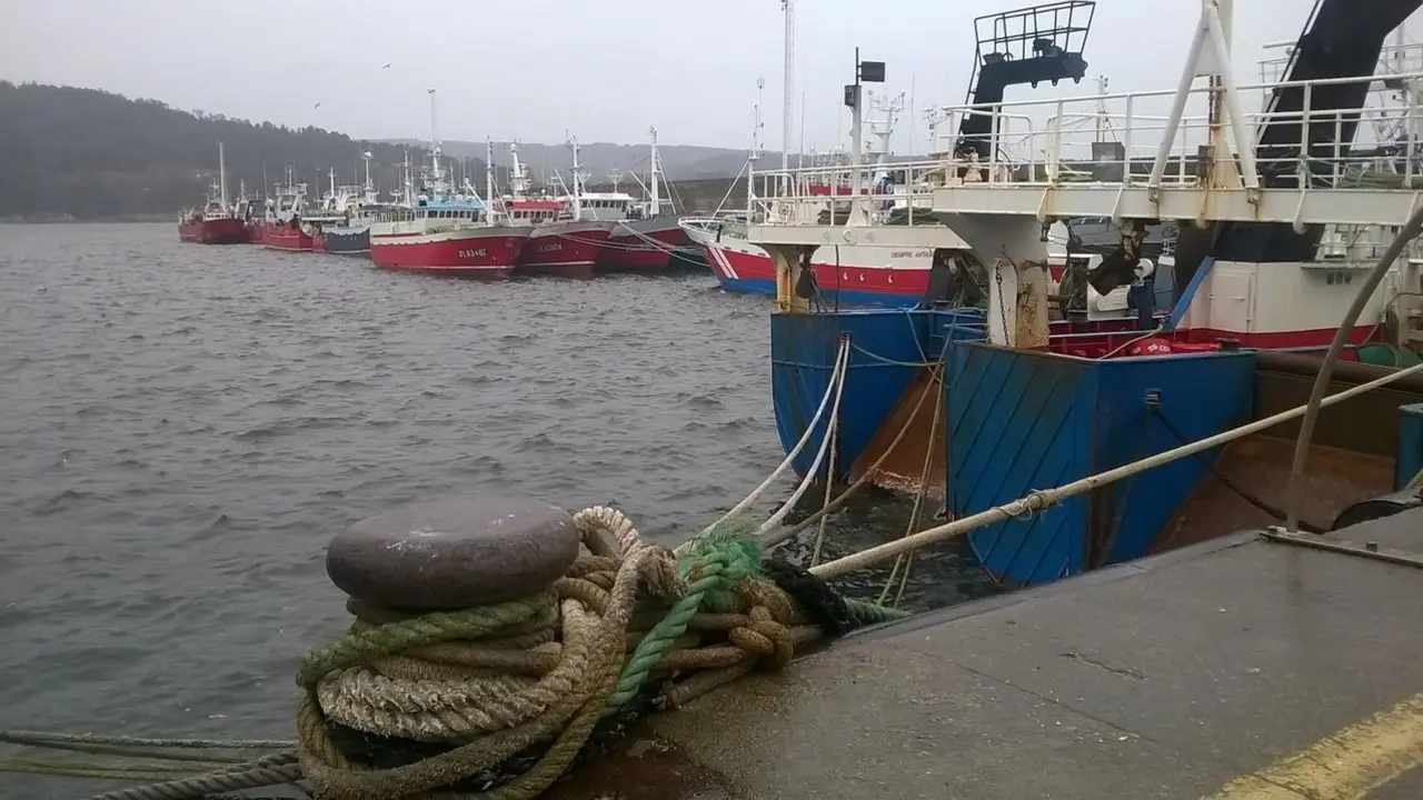 Barcos amarrados en A Mariña