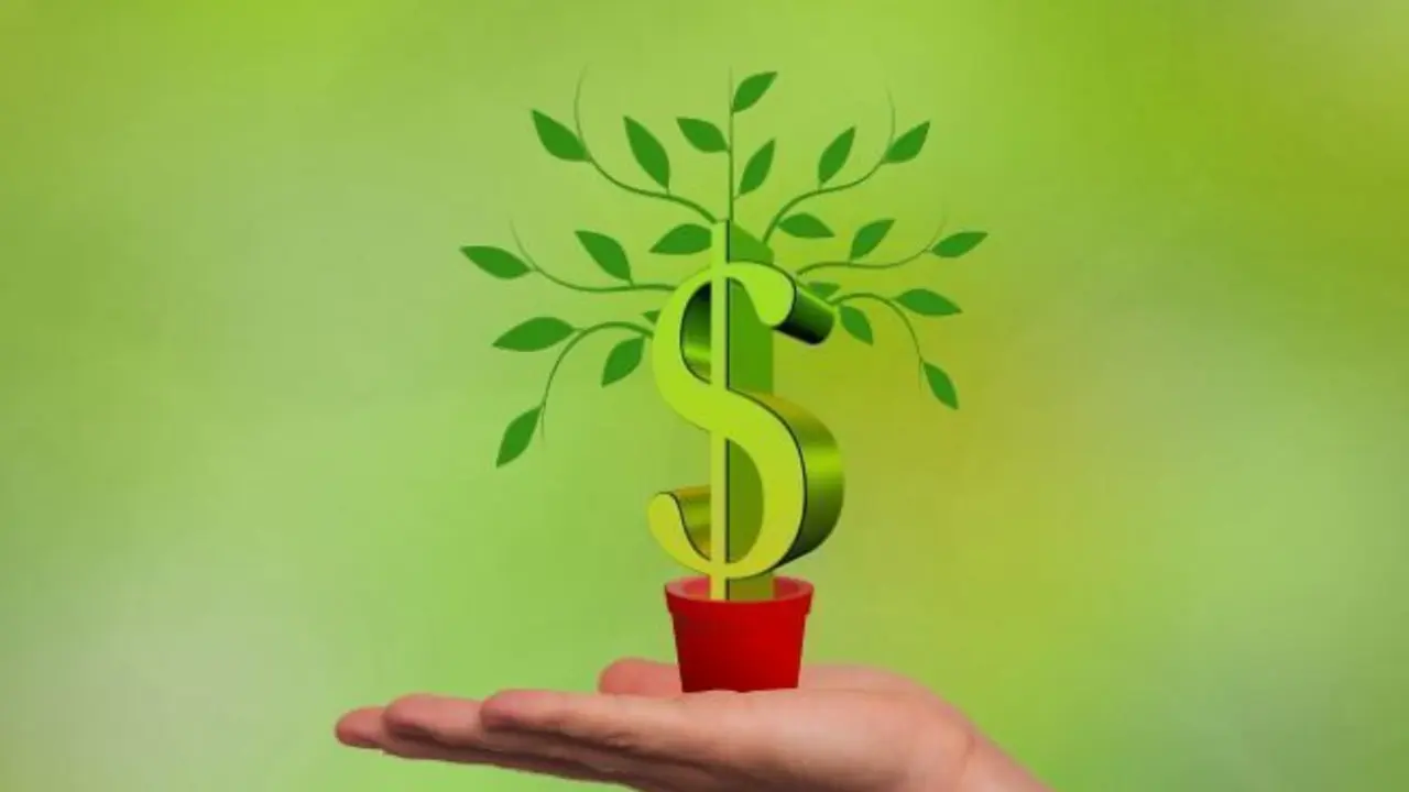 Planta con el símbolo del dólar