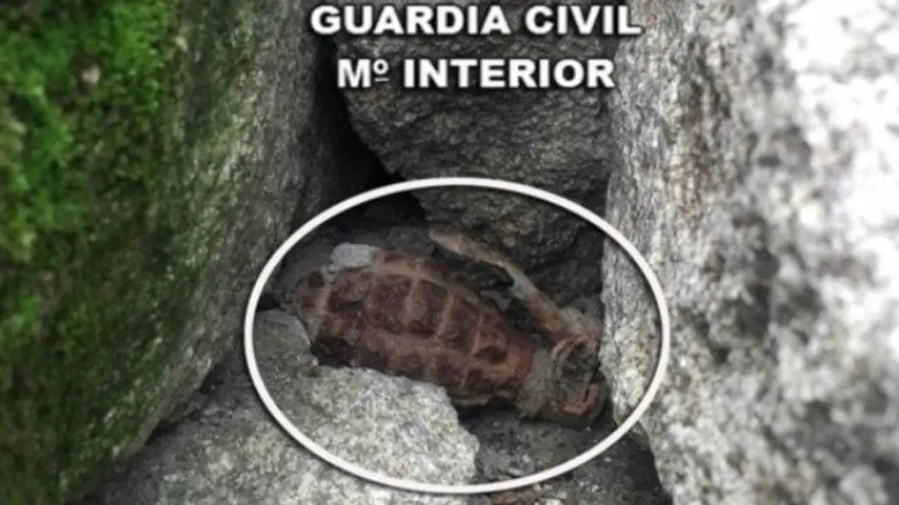 Granada Hallada en Moaña.DP