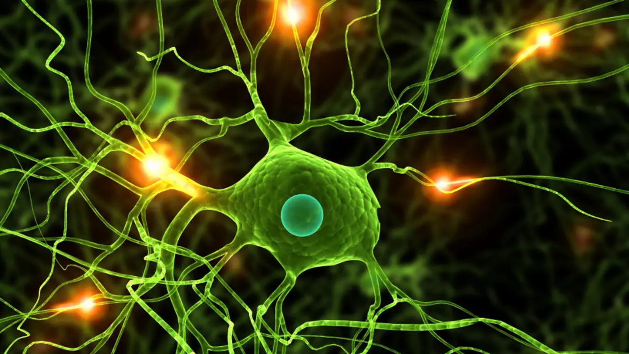 Neuronas nun proceso de párkinson. AEP