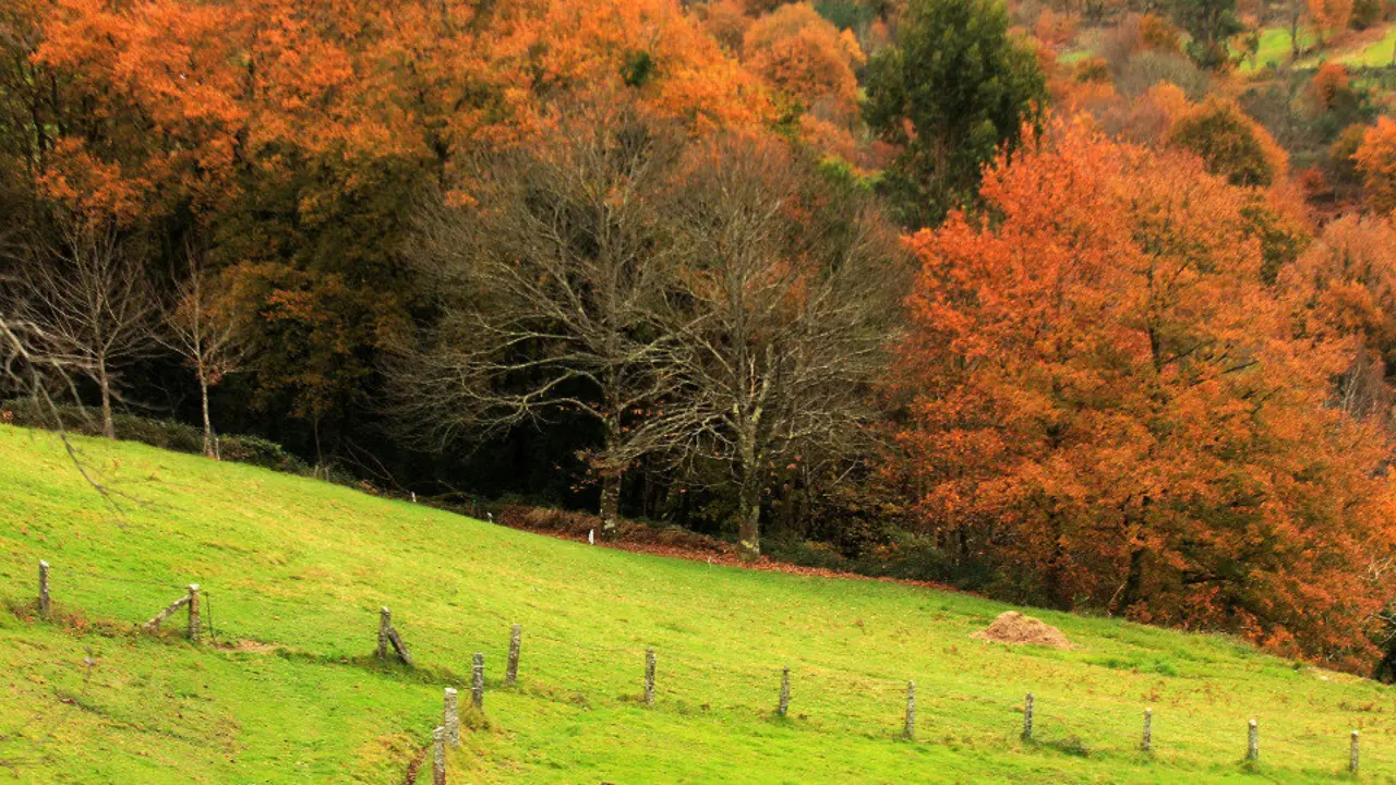 Outono en Cerdedo. RAFA FARIÑA