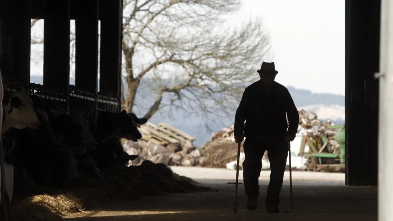 Un señor pasea en una explotación ganadera. SEBAS SENANDE