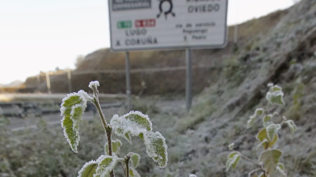 Helada junto a la autovía. AEP