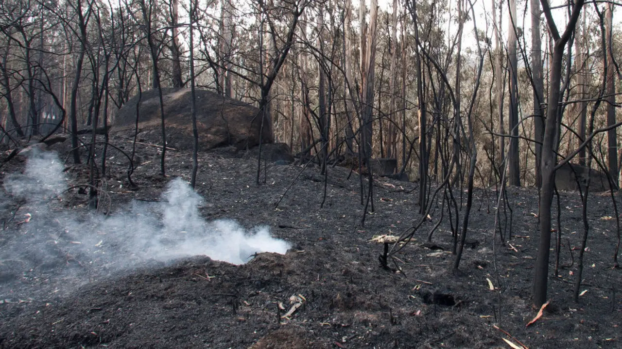 Estado de la parroquia de Chandebrito, en Nigrán, tras los incendios. AEP