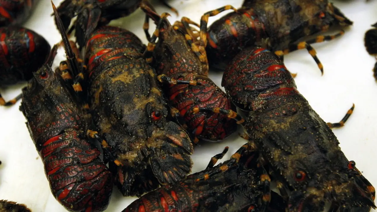 Santiaguiños. JOSÉ MARÍA ÁLVEZ