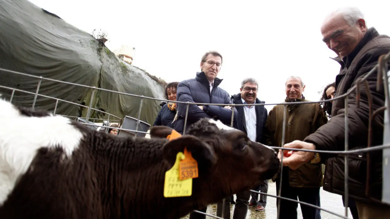 Feijóo en la Cooperativa Agraria Provincial de A Coruña. CABALAR (EFE)