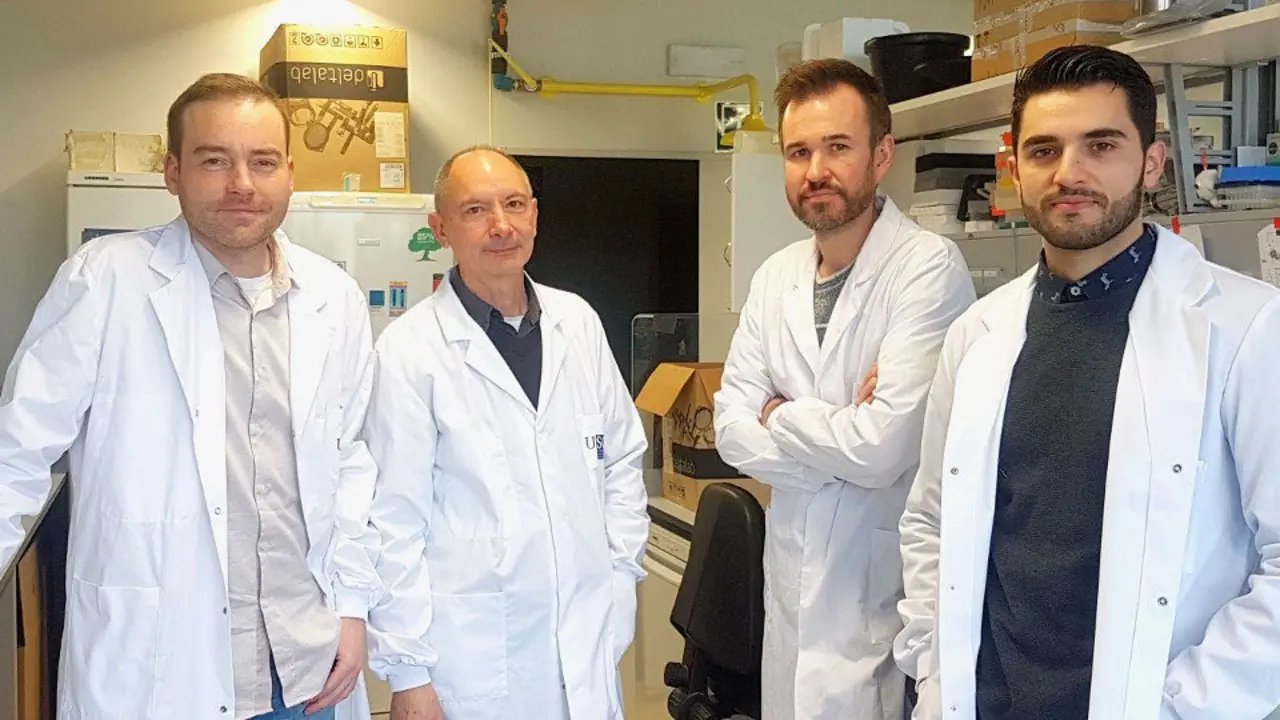 El equipo de investigadores de la USC. EP