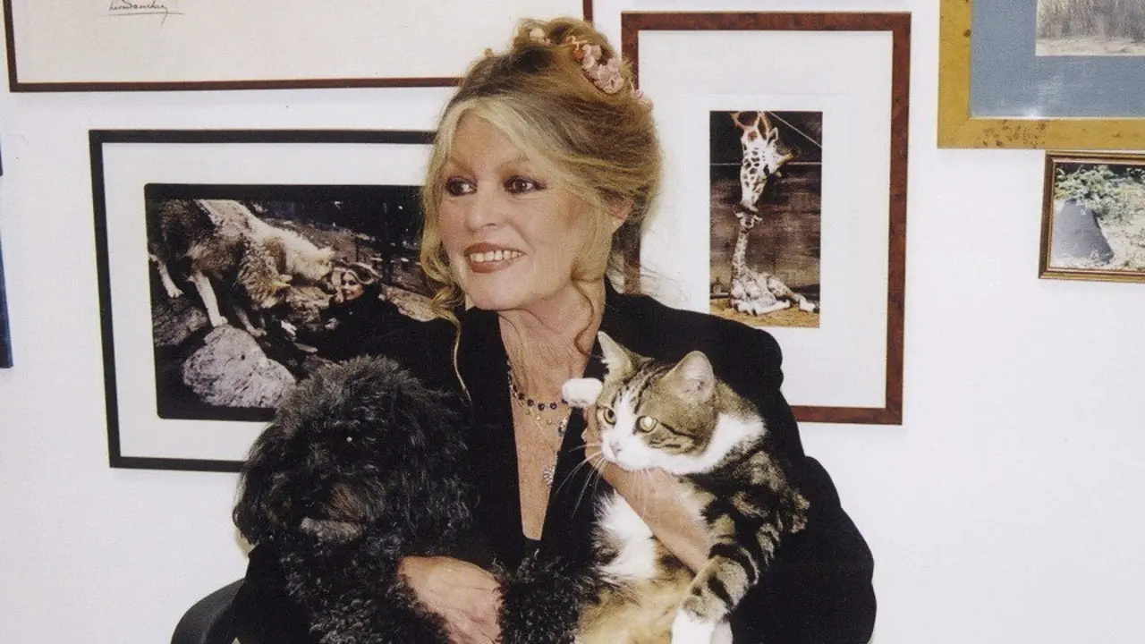 Brigitte Bardot. AEP