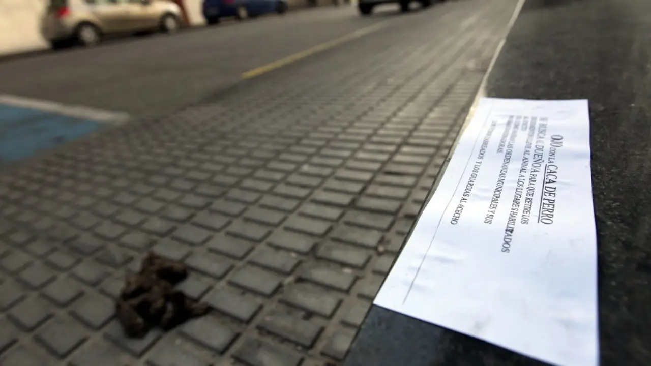 Excrementos de perro en una acera. SEBAS SENANDE