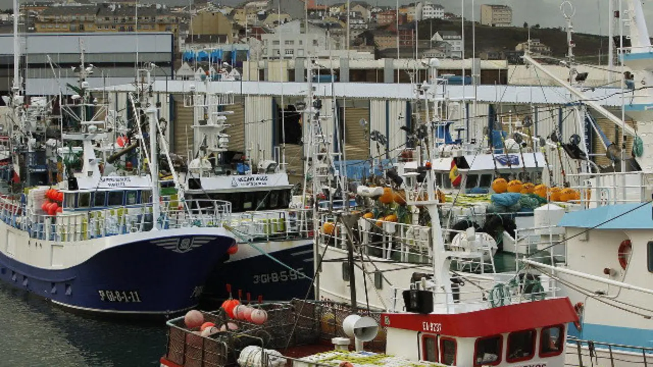 Flota pesquera en el puerto de Burela. JOSÉ Mª ÁLVEZ