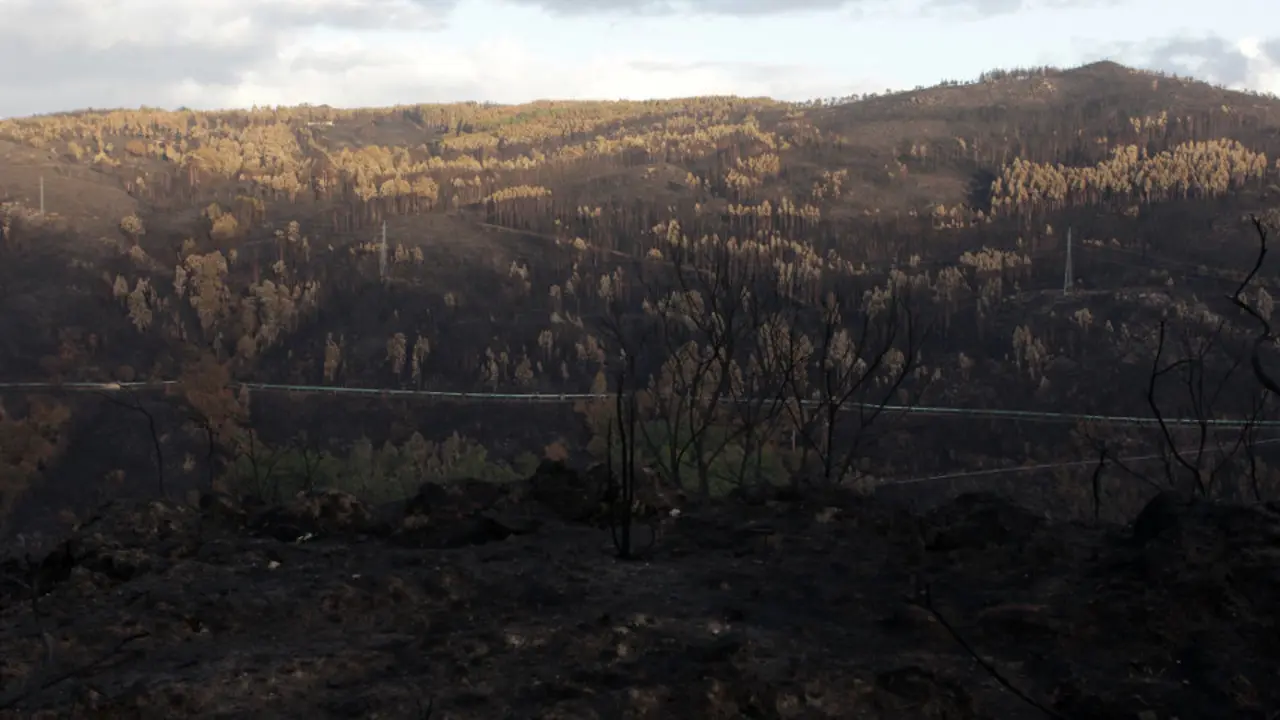 Paisaje en As Neves tras los incendios de octubre. DAVID FREIRE