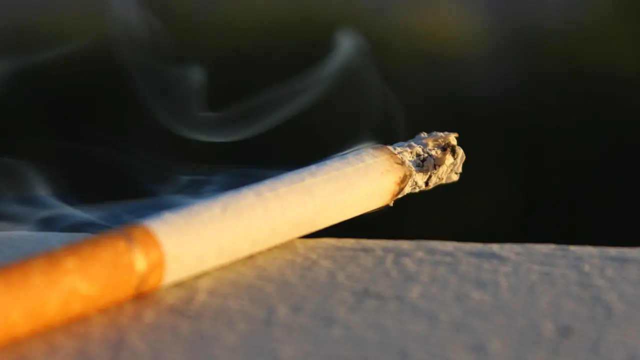 Dejar el tabaco puede prevenir el desarrollo de tumores.EP