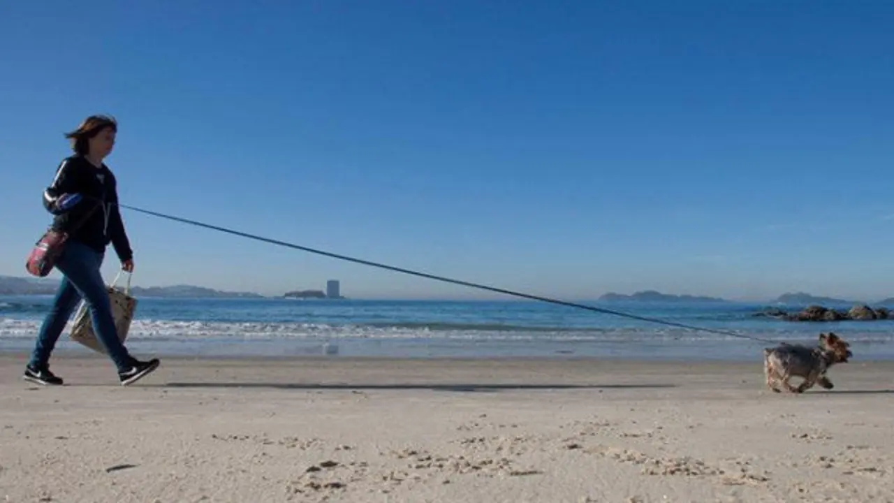 Unha muller pasea o seu can en Samil. SALVADOR SAS (EFE)