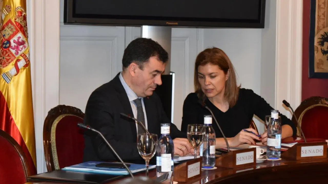 Román Rodríguez, durante su intervención en el Senado. EP