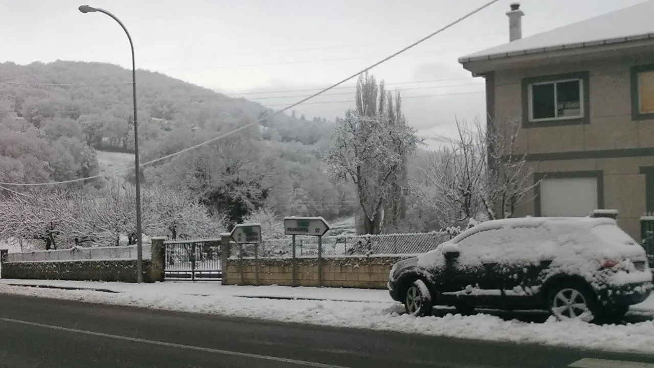 Zona de Triacastela afectada por la nieve. J.Mª.B.