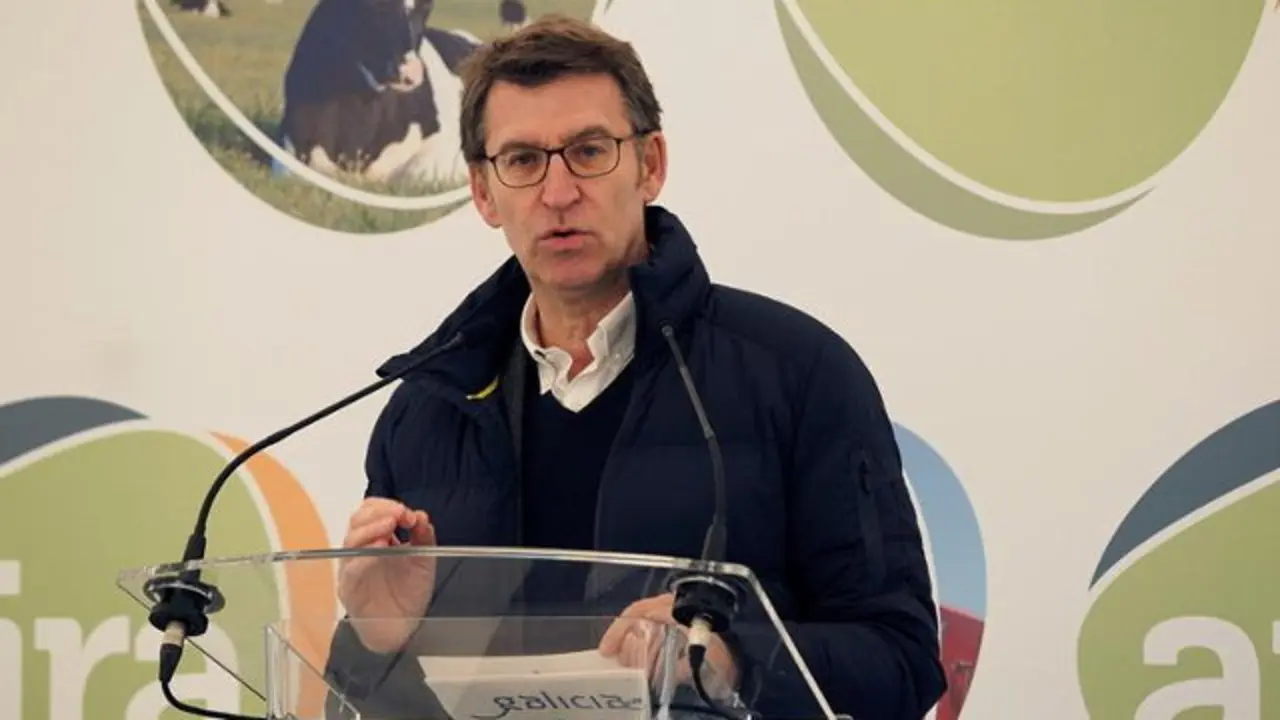 Alberto Núñez Feijóo. ELISEO TRIGO (EFE)