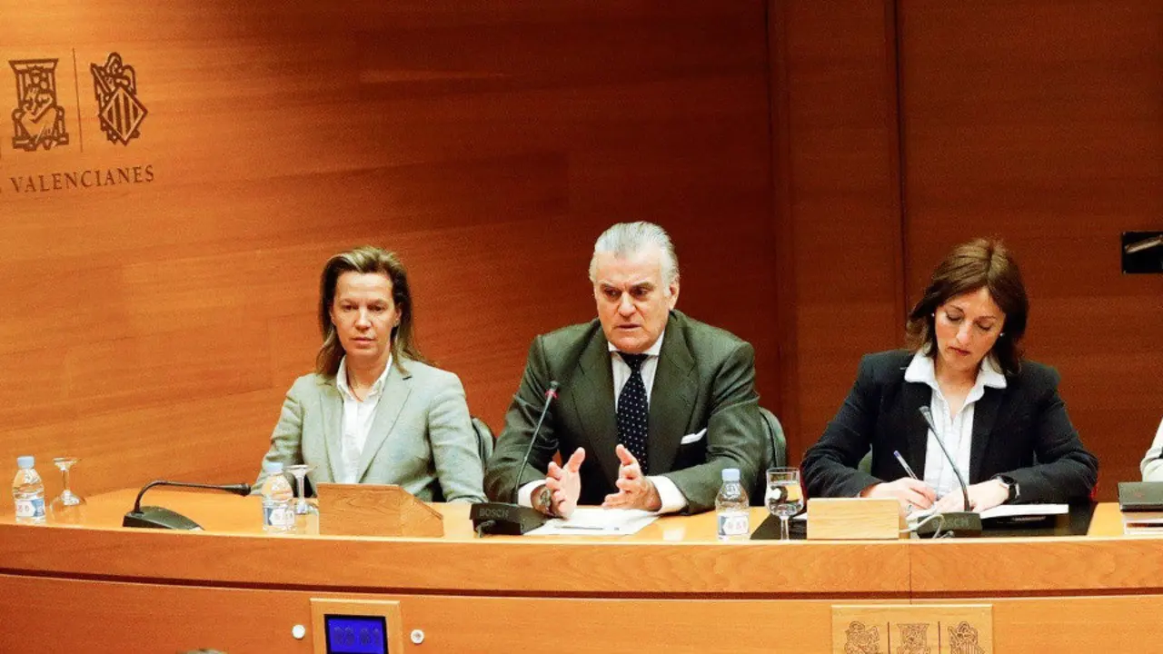 El extesorero del PP Luis Bárcenas, durante la comisión de investigación de Les Corts Valencianes. KAI FÖSTERSLING (EFE)