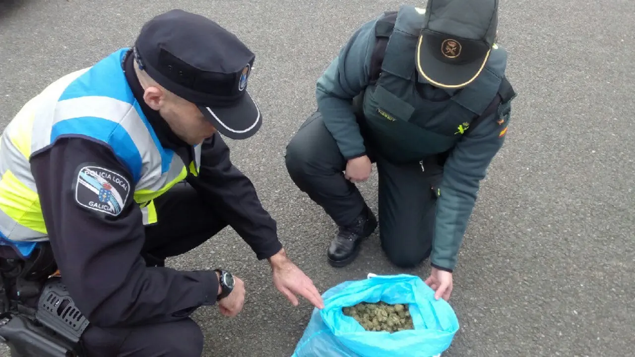 Cogollos de marihuana interceptados no Porriño. GUARDIA CIVIL