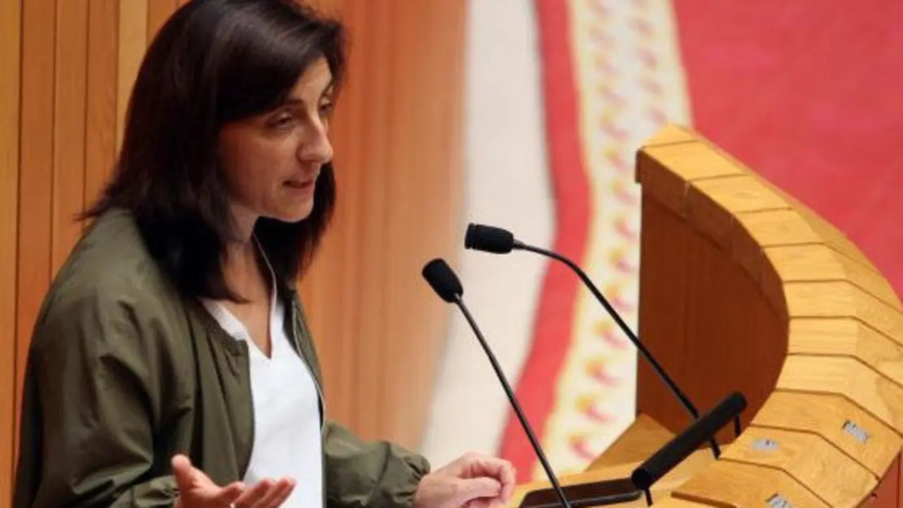 La conselleira del Medio Rural, Ángeles Vázquez. PEPE FERRÍN (AGN)