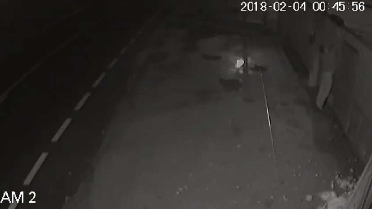 Imágenes del hombre lanzando a Kolda a las instalaciones de Os Palleiros