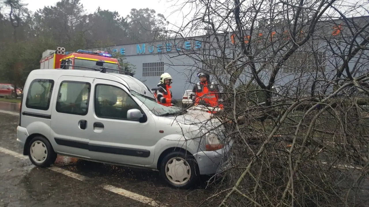 Imagen del árbol caído sobre la furgoneta. B.P. 2- A Estrada