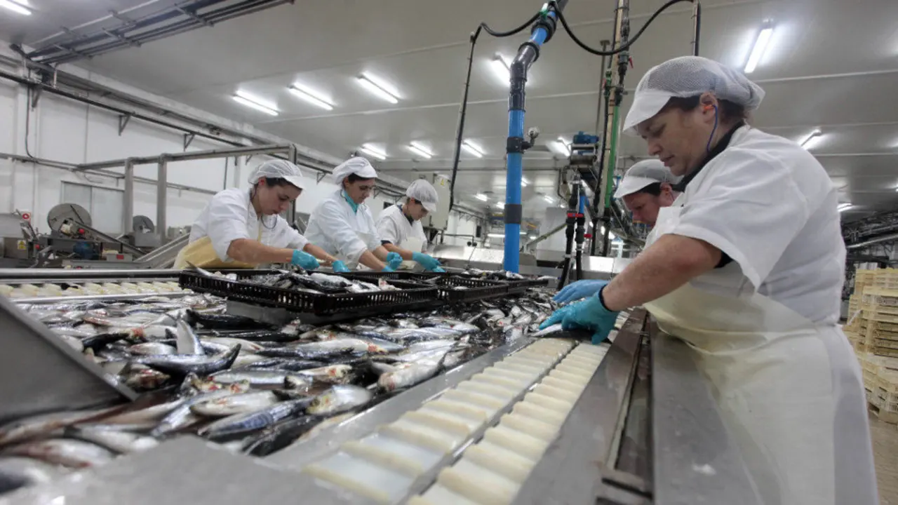 Trabajadores en una conservera. ADP