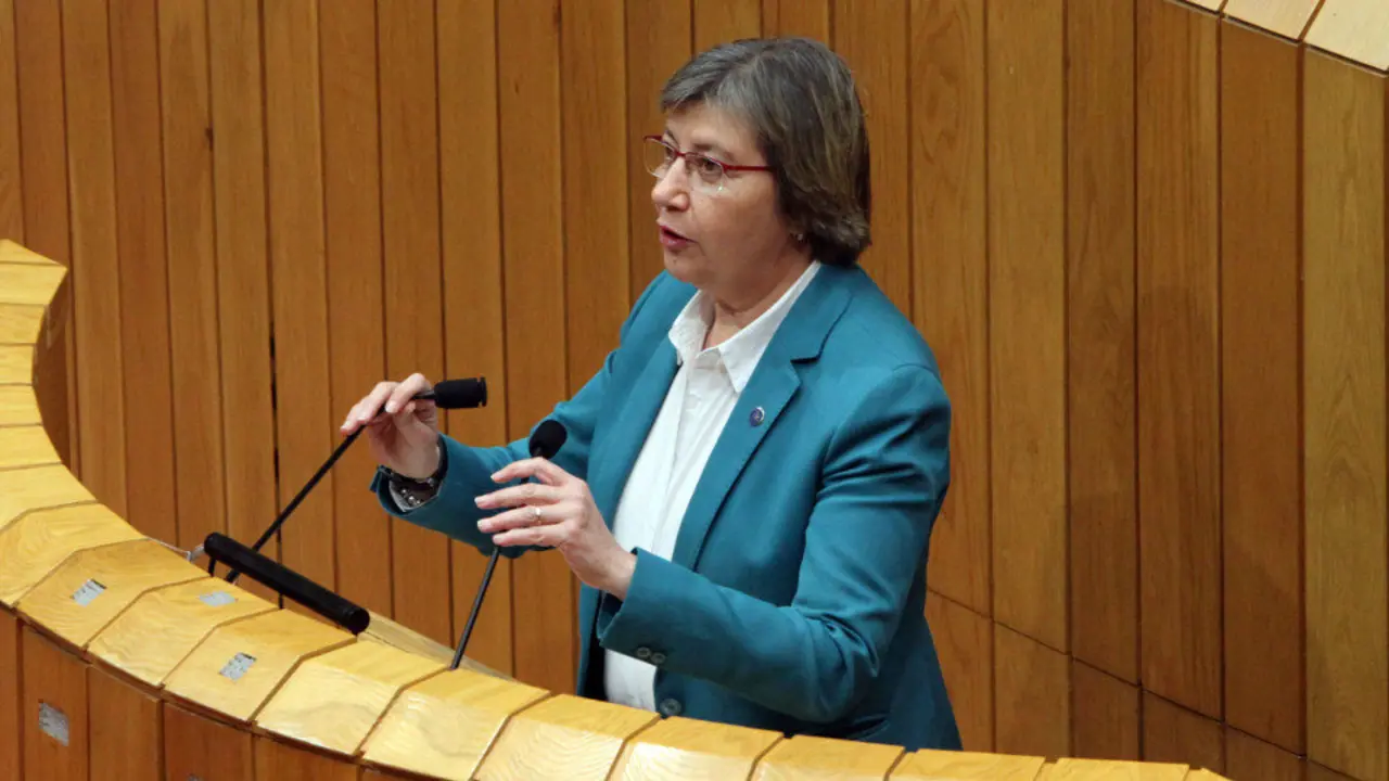 Rosa Quintana, este martes no pleno. PEPE FERRÍN (AGN)