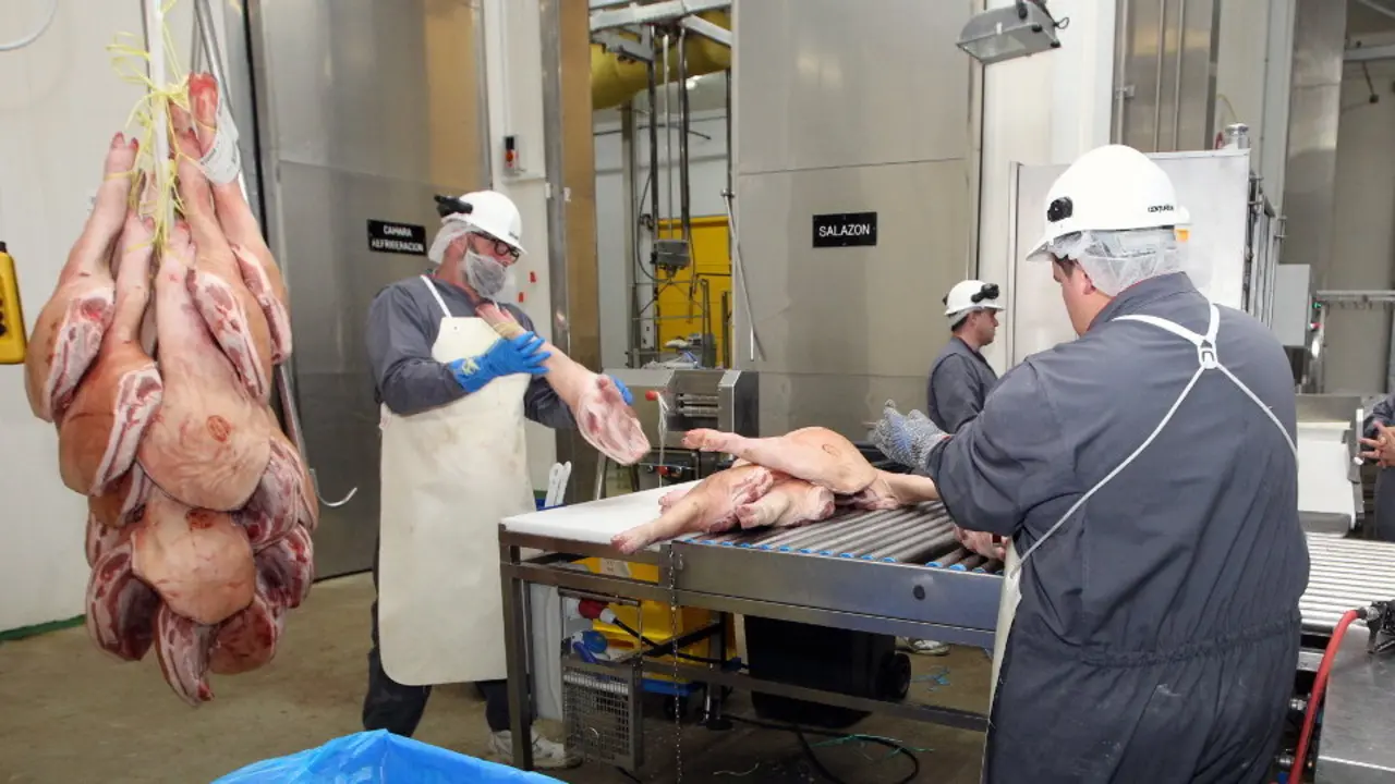 Traballadores nas instalacións de Novafrigsa. J.VÁZQUEZ