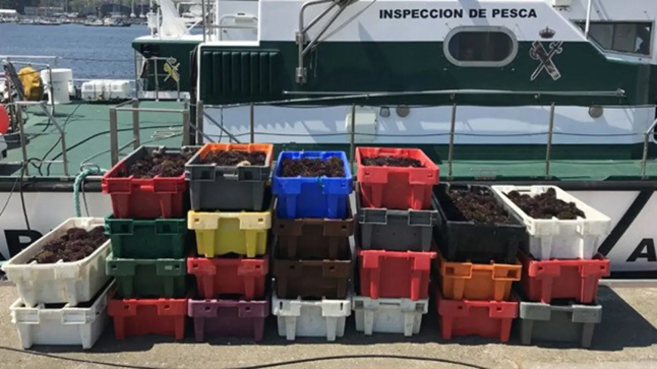 Redada contra el furtivismo en A Coruña. AEP