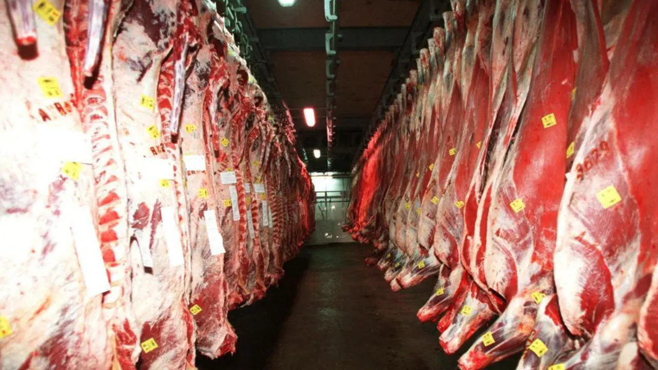 Carne de vacuno en un matadero. AEP